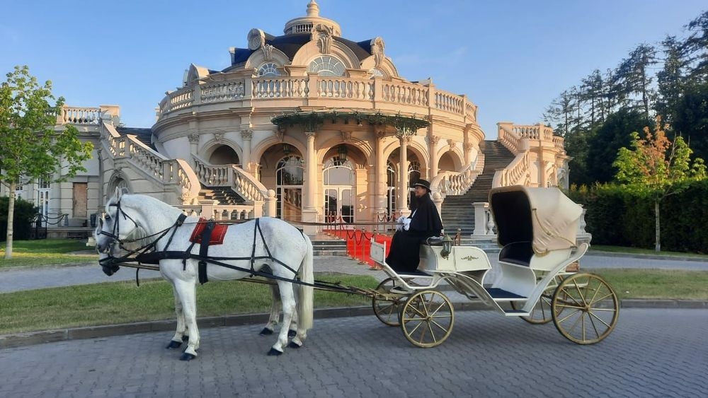 Russian carriage ride