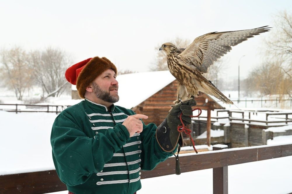 Falcon yard tour and traditional tea drinking