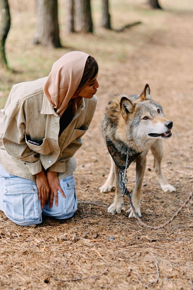 Wolf Walk Photoshot